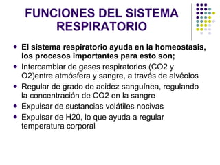 FUNCIONES DEL SISTEMA RESPIRATORIO El sistema respiratorio ayuda en la homeostasis, los procesos importantes para esto son; Intercambiar de gases respiratorios (CO2 y O2)entre atmósfera y sangre, a través de alvéolos Regular de grado de acidez sanguínea, regulando la concentración de CO2 en la sangre Expulsar de sustancias volátiles nocivas Expulsar de H20, lo que ayuda a regular temperatura corporal 