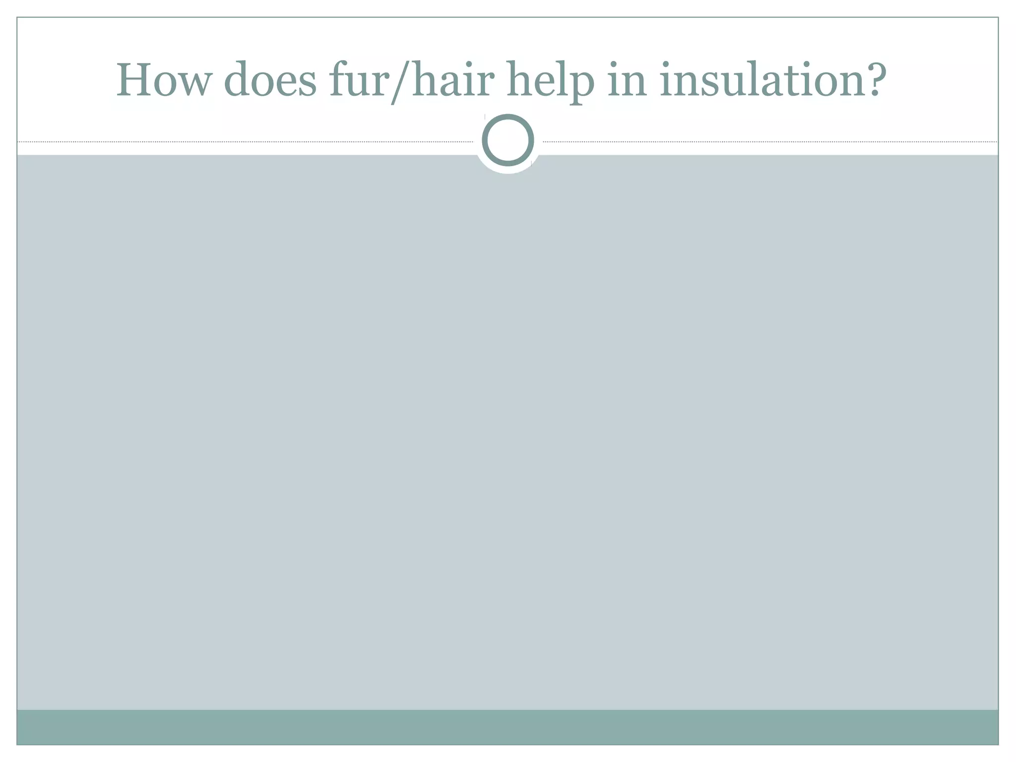How does fur/hair help in insulation?
 