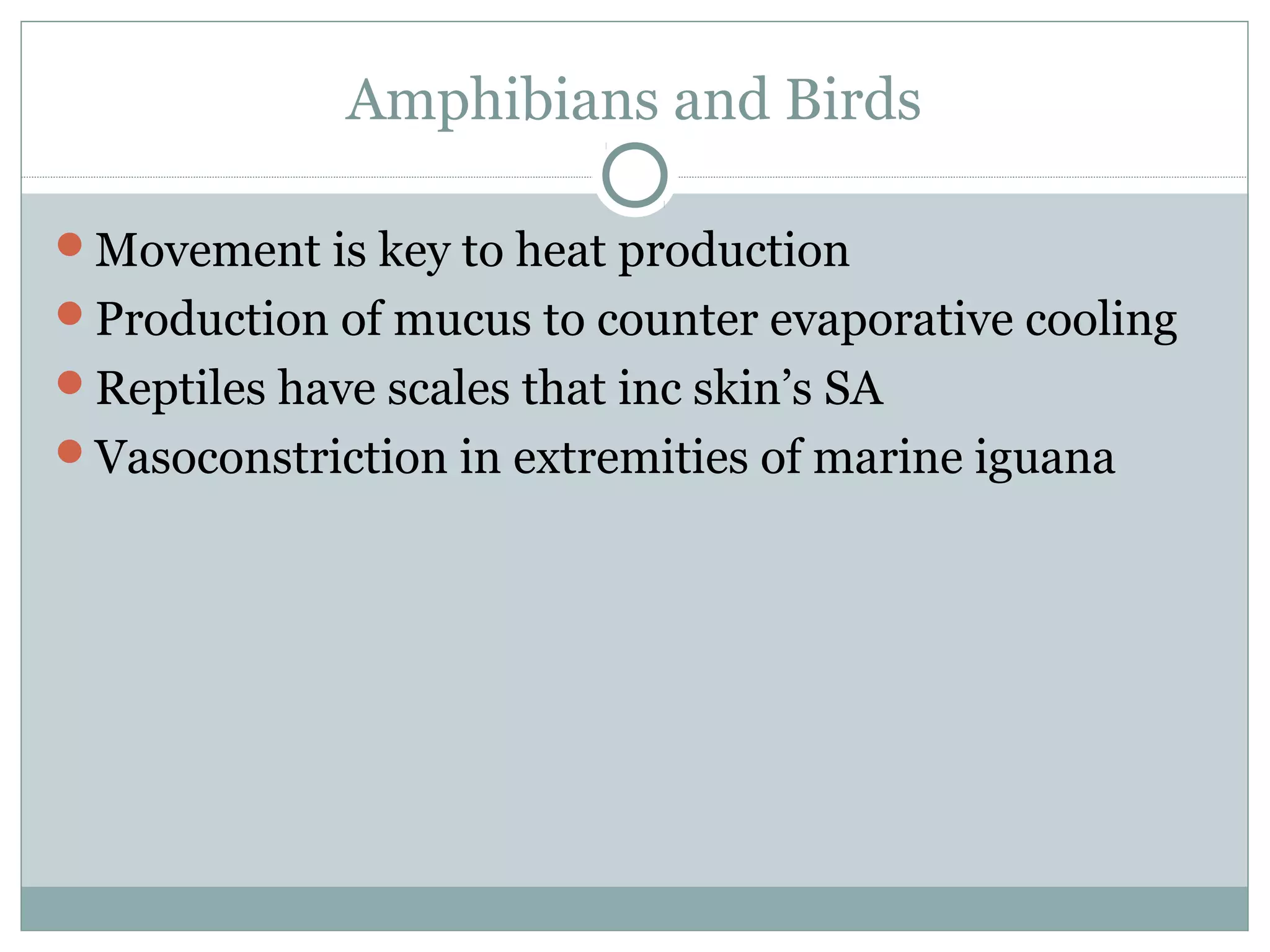 Amphibians and Birds
Movement is key to heat production
Production of mucus to counter evaporative cooling
Reptiles have scales that inc skin’s SA
Vasoconstriction in extremities of marine iguana
 