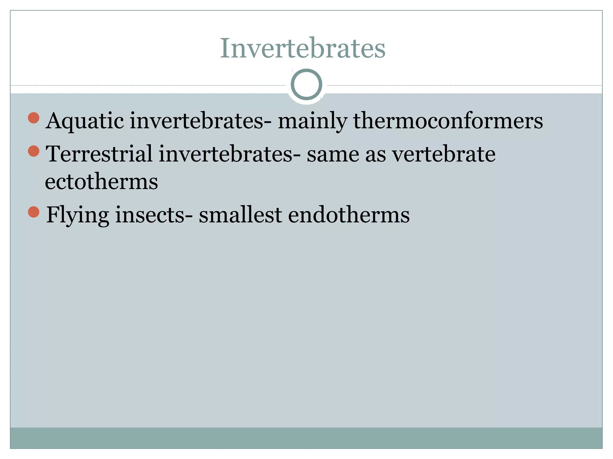 Invertebrates
Aquatic invertebrates- mainly thermoconformers
Terrestrial invertebrates- same as vertebrate
ectotherms
Flying insects- smallest endotherms
 