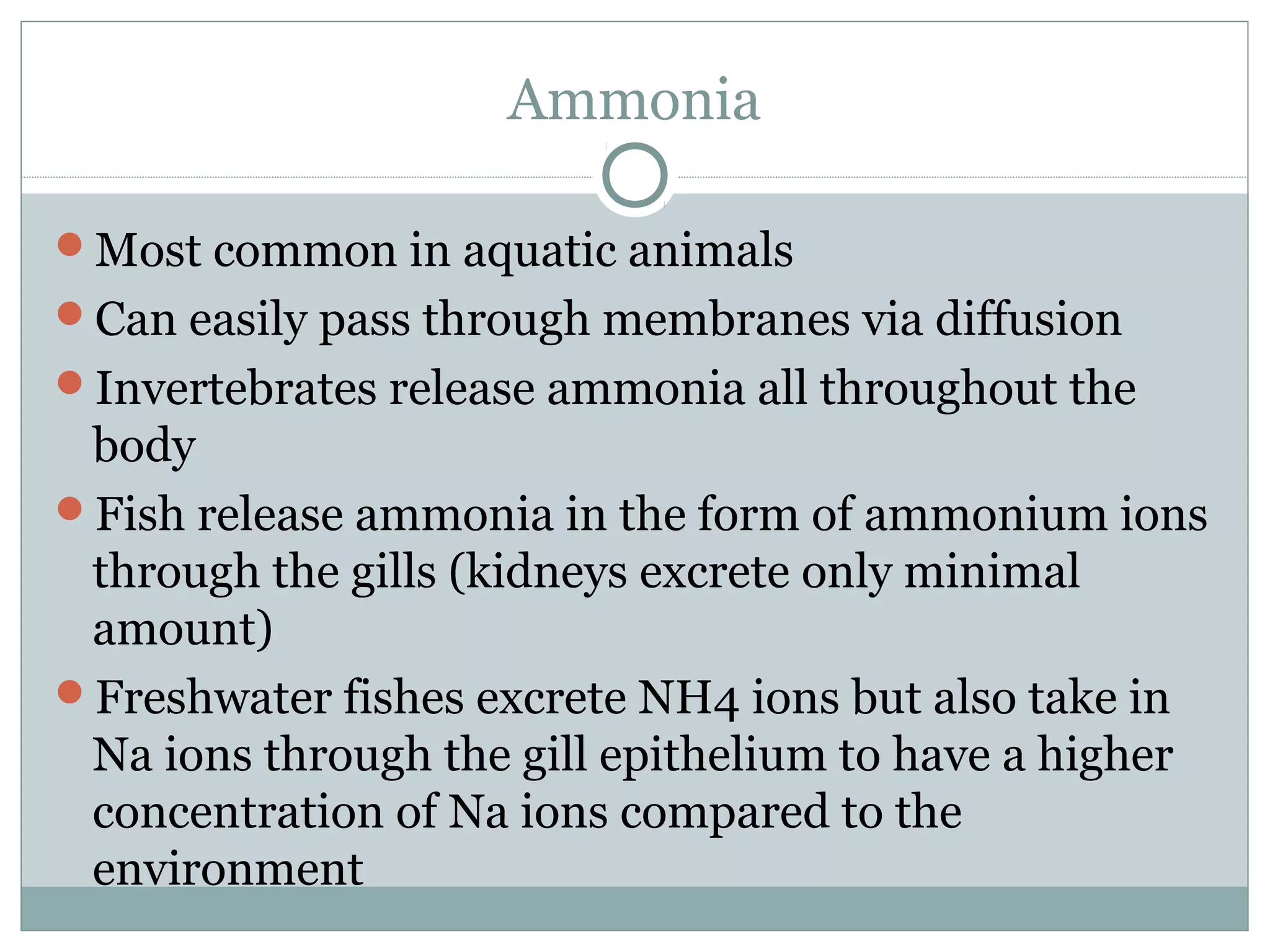 Ammonia
Most common in aquatic animals
Can easily pass through membranes via diffusion
Invertebrates release ammonia all throughout the
body
Fish release ammonia in the form of ammonium ions
through the gills (kidneys excrete only minimal
amount)
Freshwater fishes excrete NH4 ions but also take in
Na ions through the gill epithelium to have a higher
concentration of Na ions compared to the
environment
 