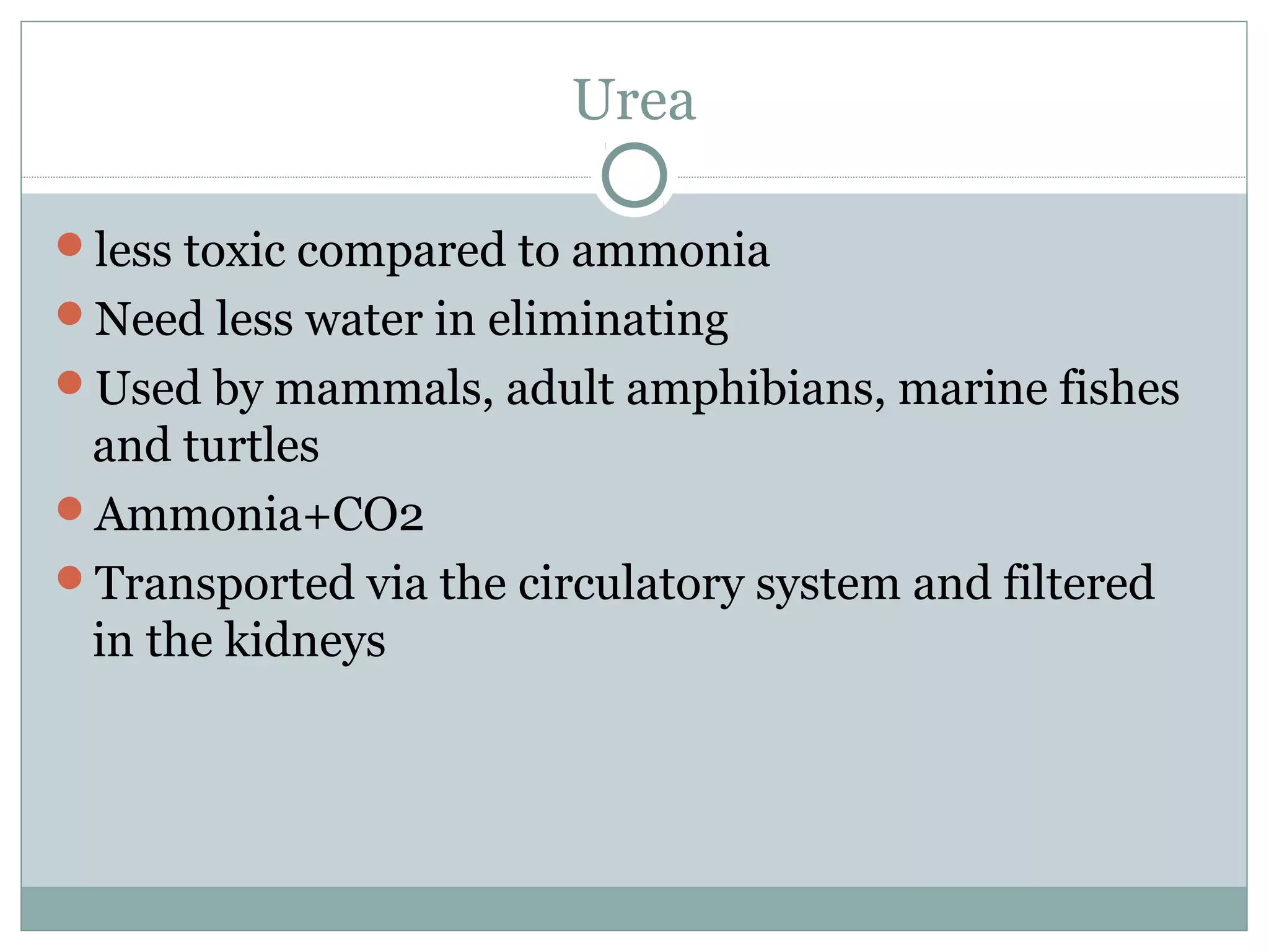 Urea
less toxic compared to ammonia
Need less water in eliminating
Used by mammals, adult amphibians, marine fishes
and turtles
Ammonia+CO2
Transported via the circulatory system and filtered
in the kidneys
 