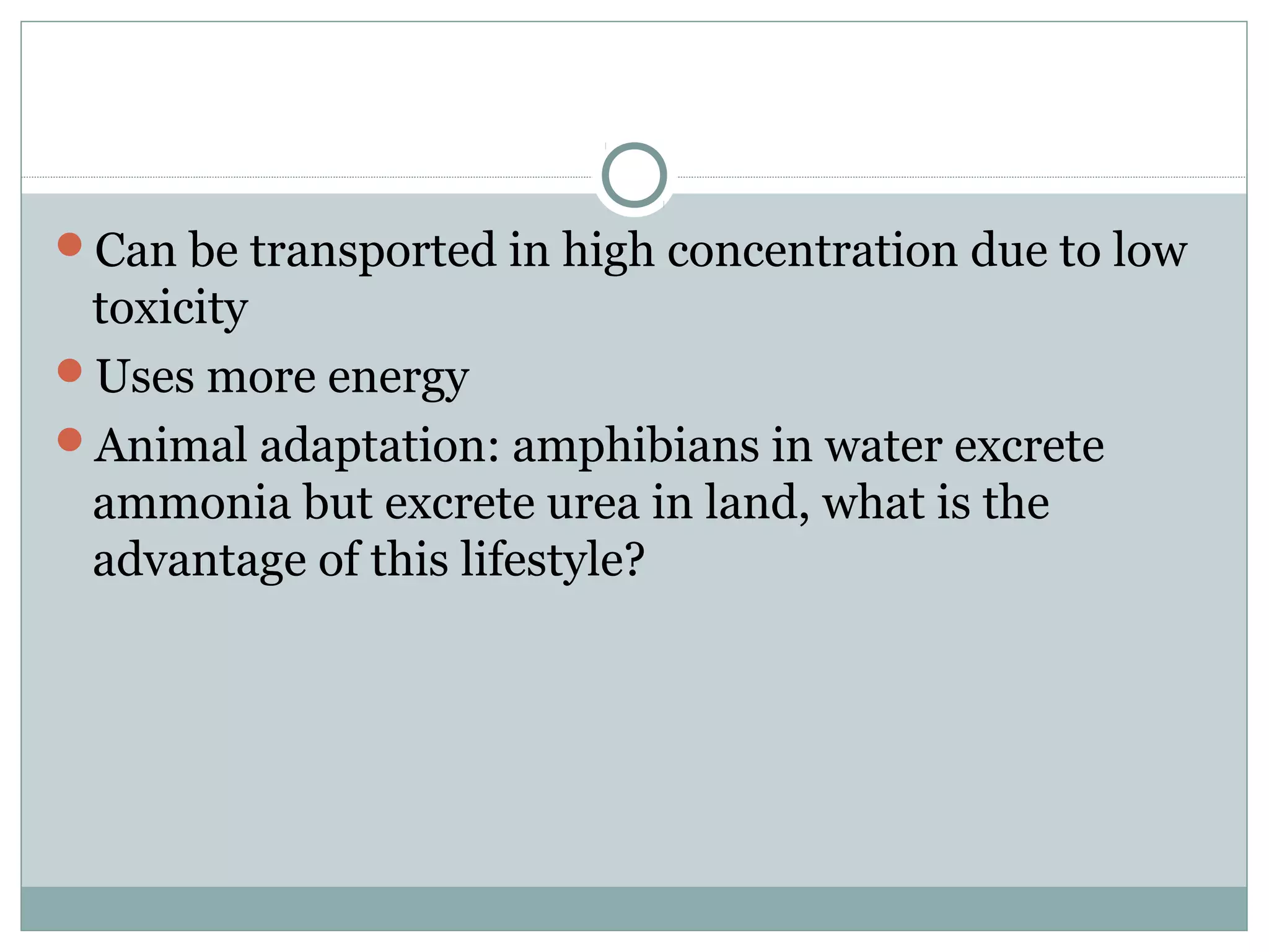 Can be transported in high concentration due to low
toxicity
Uses more energy
Animal adaptation: amphibians in water excrete
ammonia but excrete urea in land, what is the
advantage of this lifestyle?
 