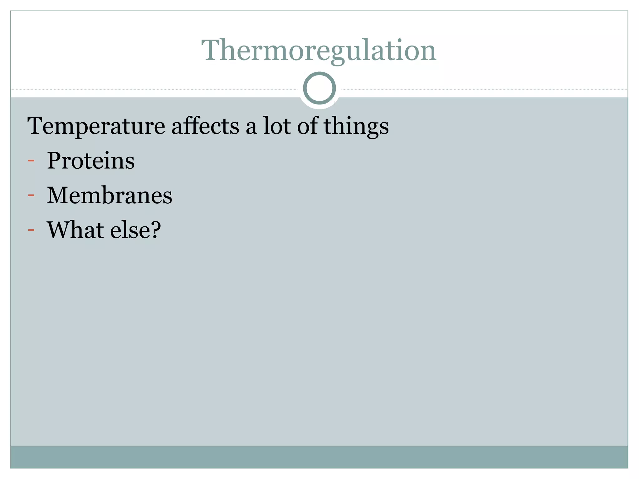 Thermoregulation
Temperature affects a lot of things
- Proteins
- Membranes
- What else?
 