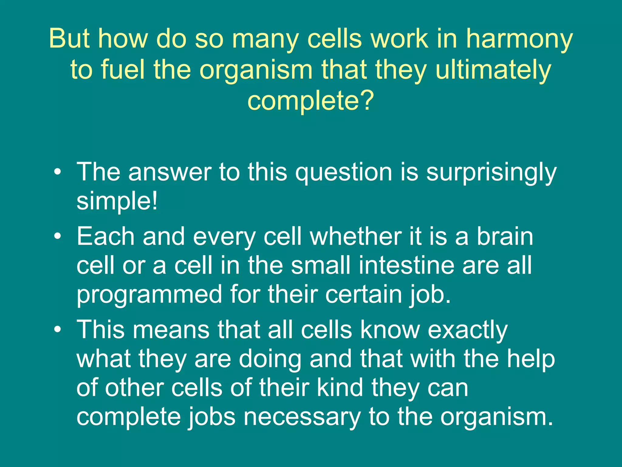 But how do so many cells work in harmony to fuel the organism that they ultimately complete? The answer to this question is surprisingly simple! Each and every cell whether it is a brain cell or a cell in the small intestine are all programmed for their certain job. This means that all cells know exactly what they are doing and that with the help of other cells of their kind they can complete jobs necessary to the organism. 