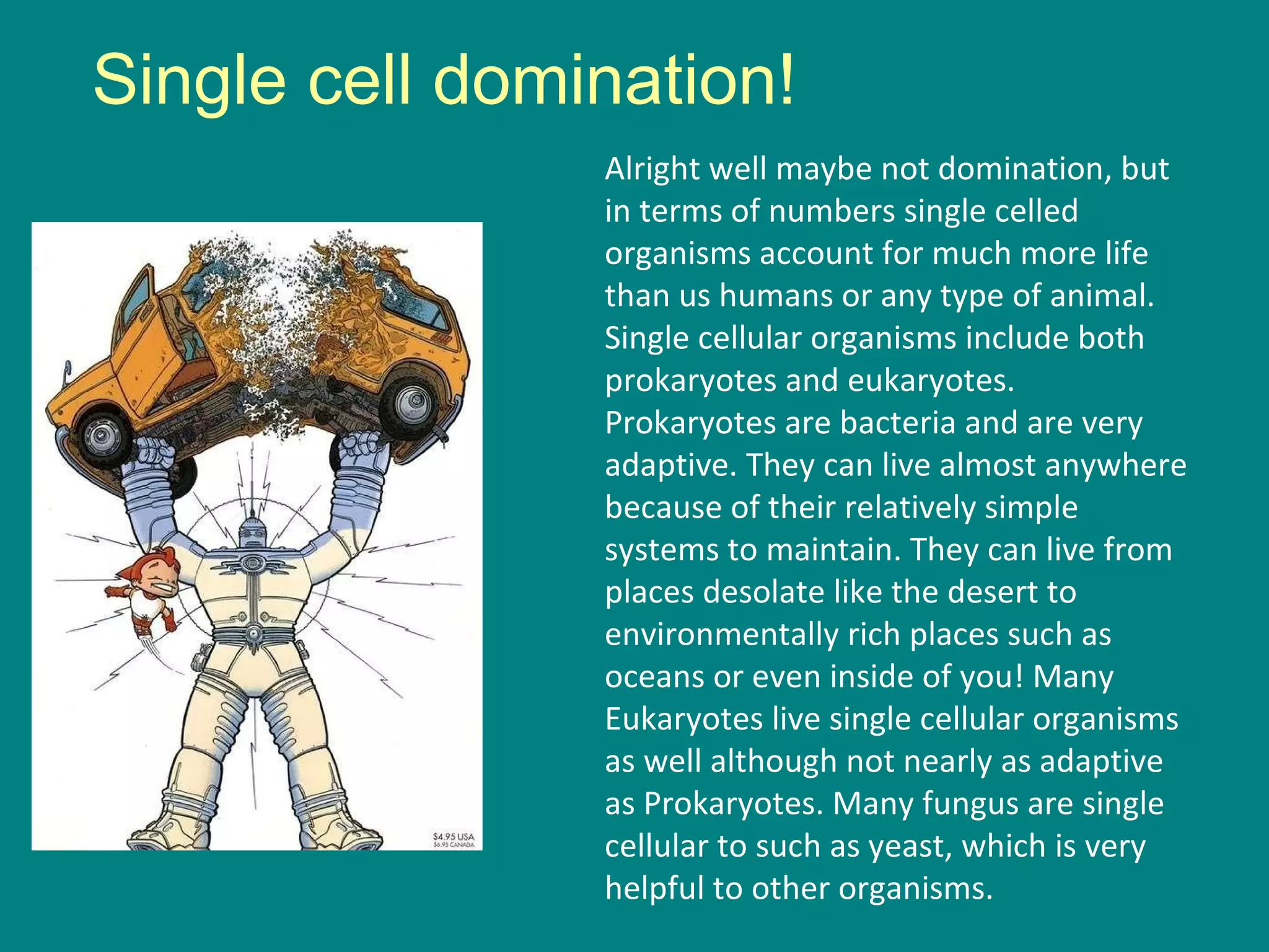 Single cell domination! Alright well maybe not domination, but in terms of numbers single celled organisms account for much more life than us humans or any type of animal. Single cellular organisms include both prokaryotes and eukaryotes. Prokaryotes are bacteria and are very adaptive. They can live almost anywhere because of their relatively simple systems to maintain. They can live from places desolate like the desert to environmentally rich places such as oceans or even inside of you! Many Eukaryotes live single cellular organisms as well although not nearly as adaptive as Prokaryotes. Many fungus are single cellular to such as yeast, which is very helpful to other organisms. 