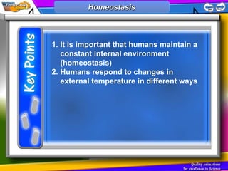 Homeostasis



1. It is important that humans maintain a
   constant internal environment
   (homeostasis)
2. Humans respond to changes in
   external temperature in different ways
 