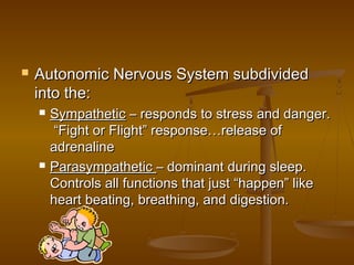    Autonomic Nervous System subdivided
    into the:
       Sympathetic – responds to stress and danger.
         “Fight or Flight” response…release of
        adrenaline
       Parasympathetic – dominant during sleep.
        Controls all functions that just “happen” like
        heart beating, breathing, and digestion.
 