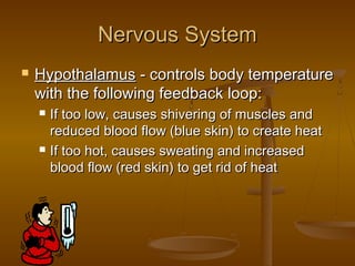 Nervous System
   Hypothalamus - controls body temperature
    with the following feedback loop:
       If too low, causes shivering of muscles and
        reduced blood flow (blue skin) to create heat
       If too hot, causes sweating and increased
        blood flow (red skin) to get rid of heat
 