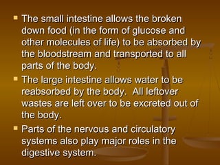    The small intestine allows the broken
    down food (in the form of glucose and
    other molecules of life) to be absorbed by
    the bloodstream and transported to all
    parts of the body.
   The large intestine allows water to be
    reabsorbed by the body. All leftover
    wastes are left over to be excreted out of
    the body.
   Parts of the nervous and circulatory
    systems also play major roles in the
    digestive system.
 