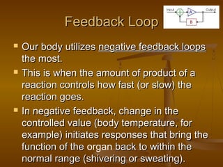 Feedback Loop
   Our body utilizes negative feedback loops
    the most.
   This is when the amount of product of a
    reaction controls how fast (or slow) the
    reaction goes.
   In negative feedback, change in the
    controlled value (body temperature, for
    example) initiates responses that bring the
    function of the organ back to within the
    normal range (shivering or sweating).
 