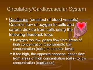 Circulatory/Cardiovascular System
   Capillaries (smallest of blood vessels) -
    Controls flow of oxygen to cells and
    carbon dioxide from cells using the
    following feedback loop:
       If oxygen too low, gases flow from areas of
        high concentration (capillaries)to low
        concentration (cells) to maintain levels
       If too high, the opposite happens, gases flow
        from areas of high concentration (cells) to low
        concentration (capillaries).
 