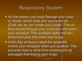 Respiratory System
   Air first enters your body through your nose
    or mouth, which wets and warms the air.
    (Cold, dry air can irritate your lungs.) The air
    then travels through your voice box and down
    your windpipe. The windpipe splits into two
    bronchial tubes that enter your lungs.
   A thin flap of tissue called the epiglottis
    covers your windpipe when you swallow. This
    prevents food or drink from entering the air
    passages that lead to your lungs.
 