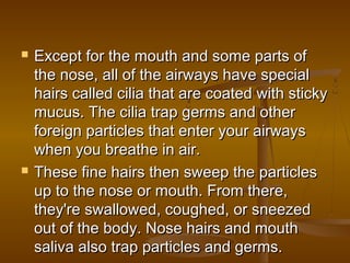    Except for the mouth and some parts of
    the nose, all of the airways have special
    hairs called cilia that are coated with sticky
    mucus. The cilia trap germs and other
    foreign particles that enter your airways
    when you breathe in air.
   These fine hairs then sweep the particles
    up to the nose or mouth. From there,
    they're swallowed, coughed, or sneezed
    out of the body. Nose hairs and mouth
    saliva also trap particles and germs.
 