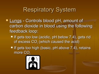 Respiratory System
   Lungs - Controls blood pH, amount of
    carbon dioxide in blood using the following
    feedback loop:
       If gets too low (acidic, pH below 7.4), gets rid
        of excess CO2 (which caused the acid)
       If gets too high (basic, pH above 7.4), retains
        more CO2
 