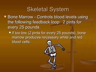 Skeletal System
   Bone Marrow - Controls blood levels using
    the following feedback loop: 2 pints for
    every 25 pounds
       If too low (2 pints for every 25 pounds), bone
        marrow produces necessary white and red
        blood cells.
 