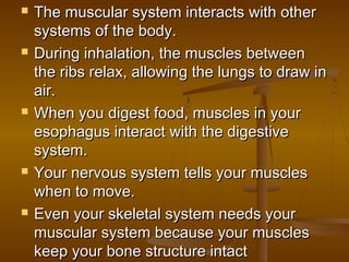    The muscular system interacts with other
    systems of the body.
   During inhalation, the muscles between
    the ribs relax, allowing the lungs to draw in
    air.
   When you digest food, muscles in your
    esophagus interact with the digestive
    system.
   Your nervous system tells your muscles
    when to move.
   Even your skeletal system needs your
    muscular system because your muscles
    keep your bone structure intact
 