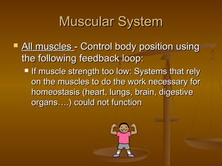 Muscular System
   All muscles - Control body position using
    the following feedback loop:
       If muscle strength too low: Systems that rely
        on the muscles to do the work necessary for
        homeostasis (heart, lungs, brain, digestive
        organs….) could not function
 