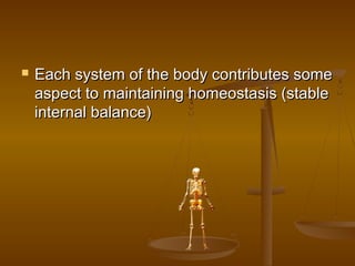    Each system of the body contributes some
    aspect to maintaining homeostasis (stable
    internal balance)
 