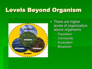 Levels Beyond Organism There are higher levels of organization above organisms Population Community Ecosystem Biosphere 