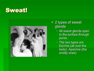 Sweat! 2 types of sweat glands All sweat glands open to the surface through pores.  The two types are Eccrine (all over the body), Apocrine (the smelly ones) 