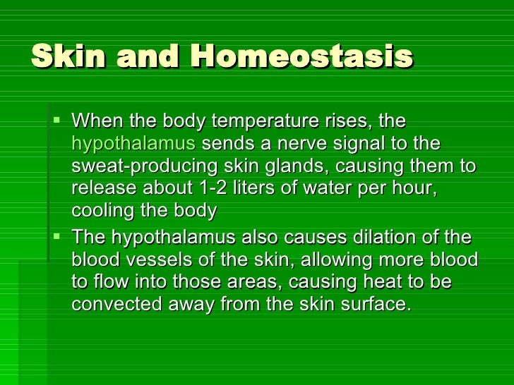 Homeostasis