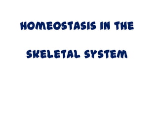 Homeostasis in the

 skeletal system
 