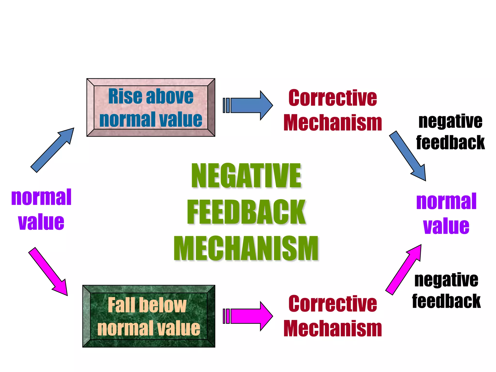 Rise above
normal value
Fall below
normal value
normal
value
Corrective
Mechanism
Corrective
Mechanism
NEGATIVE
FEEDBACK
MECHANISM
normal
value
negative
feedback
negative
feedback
 