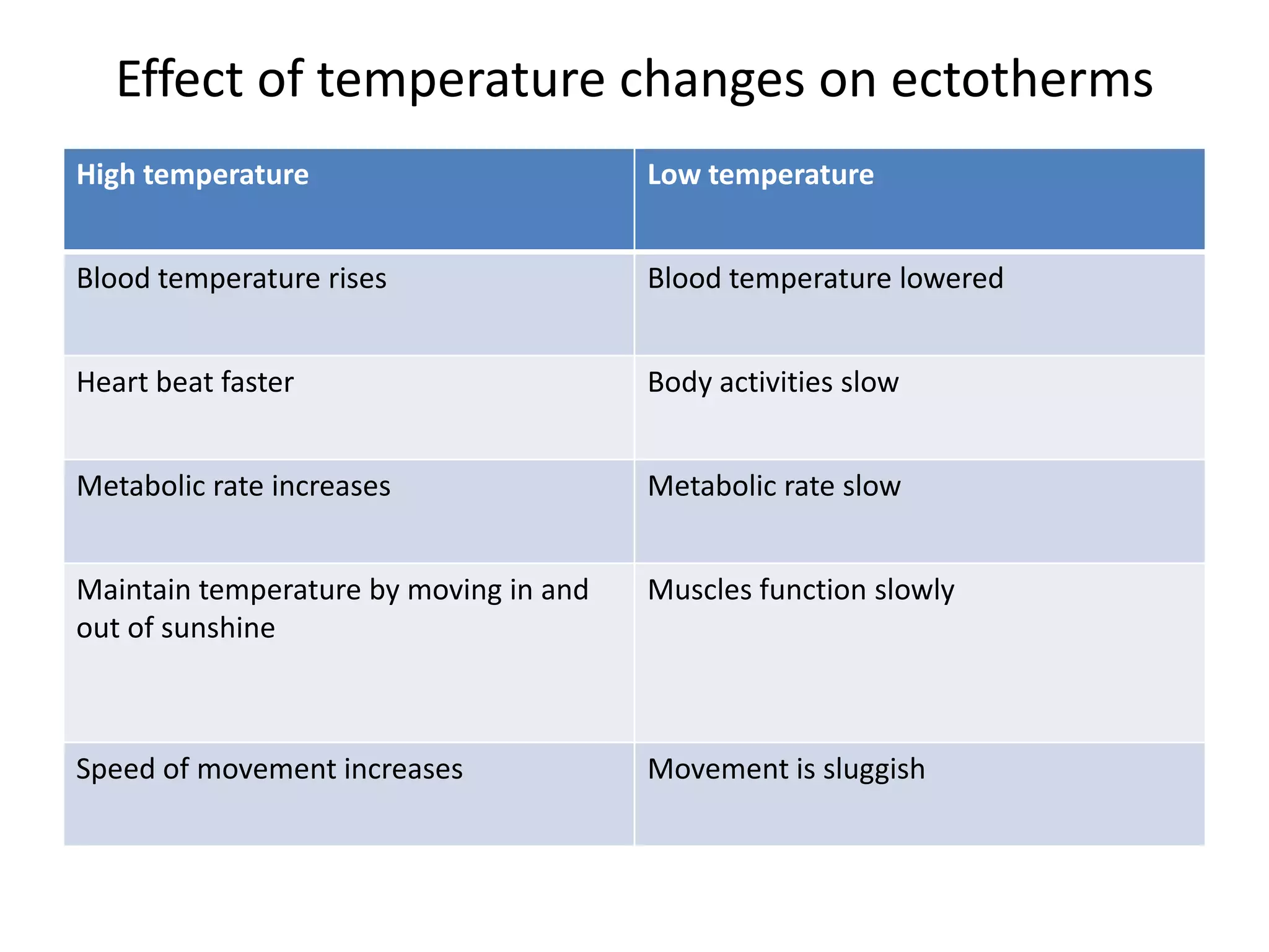 Effect of temperature changes on ectotherms
High temperature Low temperature
Blood temperature rises Blood temperature lowered
Heart beat faster Body activities slow
Metabolic rate increases Metabolic rate slow
Maintain temperature by moving in and
out of sunshine
Muscles function slowly
Speed of movement increases Movement is sluggish
 