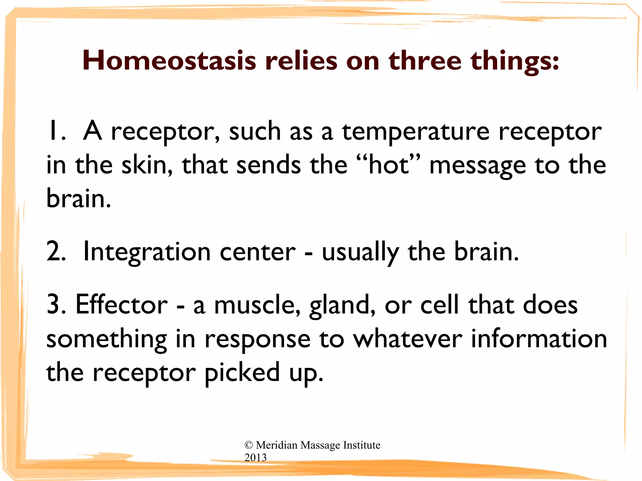 Homeostasis relies on three things:
1. A receptor, such as a temperature receptor
in the skin, that sends the “hot” message to the
brain.
2. Integration center - usually the brain.
3. Effector - a muscle, gland, or cell that does
something in response to whatever information
the receptor picked up.
© Meridian Massage Institute
2013
 