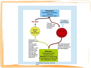 © Meridian Massage Institute
2013
 