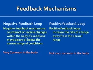 Feedback Mechanisms
Negative Feedback Loop

Positive feedback Loop

Negative feedback mechanisms Positive feedback loops
counteract or reverse changes
increase the rate of change
within the body if conditions
away from the normal
move above or below the
range
narrow range of conditions
Very Common in the body

Not very common in the body

 