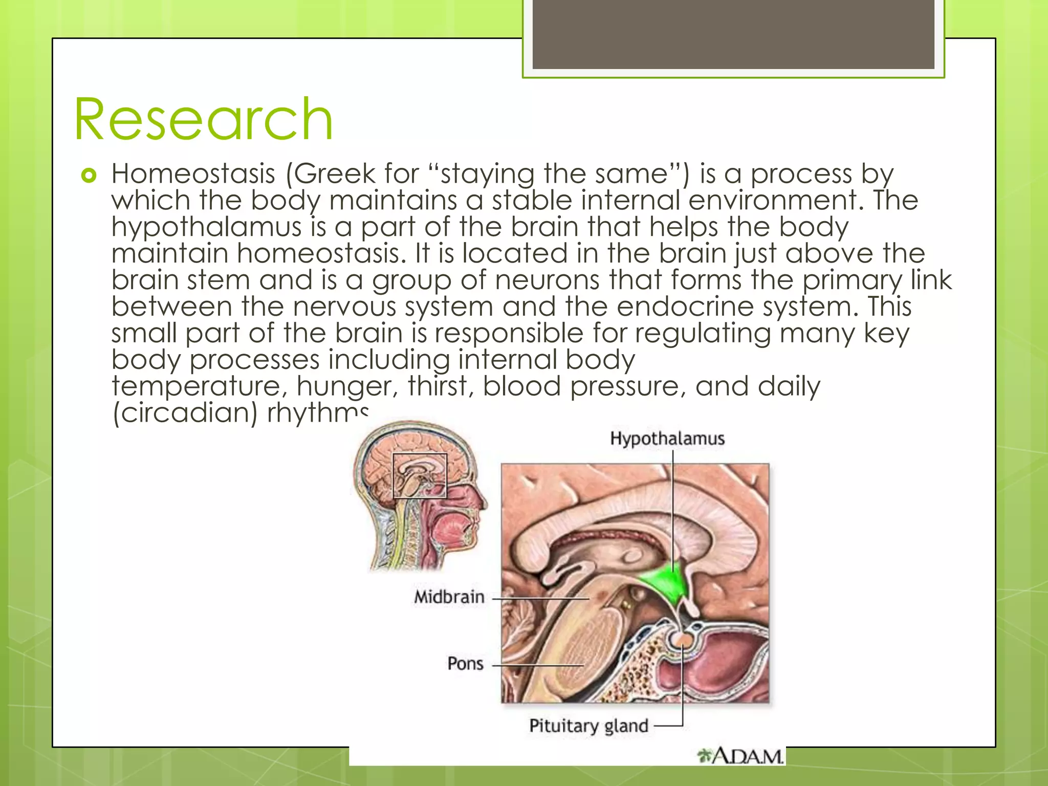 Research
 Homeostasis (Greek for “staying the same”) is a process by
which the body maintains a stable internal environment. The
hypothalamus is a part of the brain that helps the body
maintain homeostasis. It is located in the brain just above the
brain stem and is a group of neurons that forms the primary link
between the nervous system and the endocrine system. This
small part of the brain is responsible for regulating many key
body processes including internal body
temperature, hunger, thirst, blood pressure, and daily
(circadian) rhythms
 