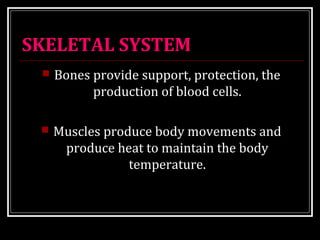 SKELETAL SYSTEM 
 Bones provide support, protection, the 
production of blood cells. 
 Muscles produce body movements and 
produce heat to maintain the body 
temperature. 
 