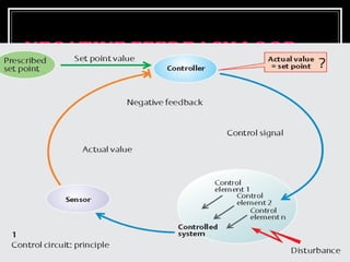 NNEEGGAATTIIVVEE FFEEEEDDBBAACCKK LLOOOOPP 
 