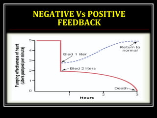 NEGATIVE Vs POSITIVE 
FEEDBACK 
 