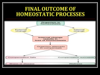 FINAL OUTCOME OF 
HOMEOSTATIC PROCESSES 
 