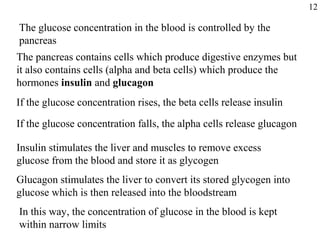 The glucose concentration in the blood is controlled by the
pancreas
The pancreas contains cells which produce digestive enzymes but
it also contains cells (alpha and beta cells) which produce the
hormones insulin and glucagon
If the glucose concentration rises, the beta cells release insulin
If the glucose concentration falls, the alpha cells release glucagon
Insulin stimulates the liver and muscles to remove excess
glucose from the blood and store it as glycogen
Glucagon stimulates the liver to convert its stored glycogen into
glucose which is then released into the bloodstream
12
In this way, the concentration of glucose in the blood is kept
within narrow limits
 