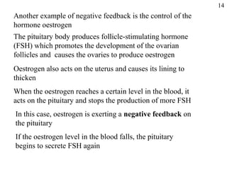 Another example of negative feedback is the control of the
hormone oestrogen
The pituitary body produces follicle-stimulating hormone
(FSH) which promotes the development of the ovarian
follicles and causes the ovaries to produce oestrogen
Oestrogen also acts on the uterus and causes its lining to
thicken
When the oestrogen reaches a certain level in the blood, it
acts on the pituitary and stops the production of more FSH
If the oestrogen level in the blood falls, the pituitary
begins to secrete FSH again
In this case, oestrogen is exerting a negative feedback on
the pituitary
14
 