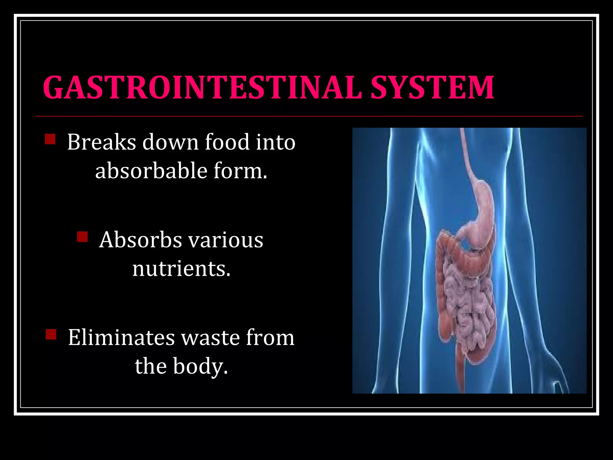 GASTROINTESTINAL SYSTEM
 Breaks down food into
absorbable form.
 Absorbs various
nutrients.
 Eliminates waste from
the body.
 