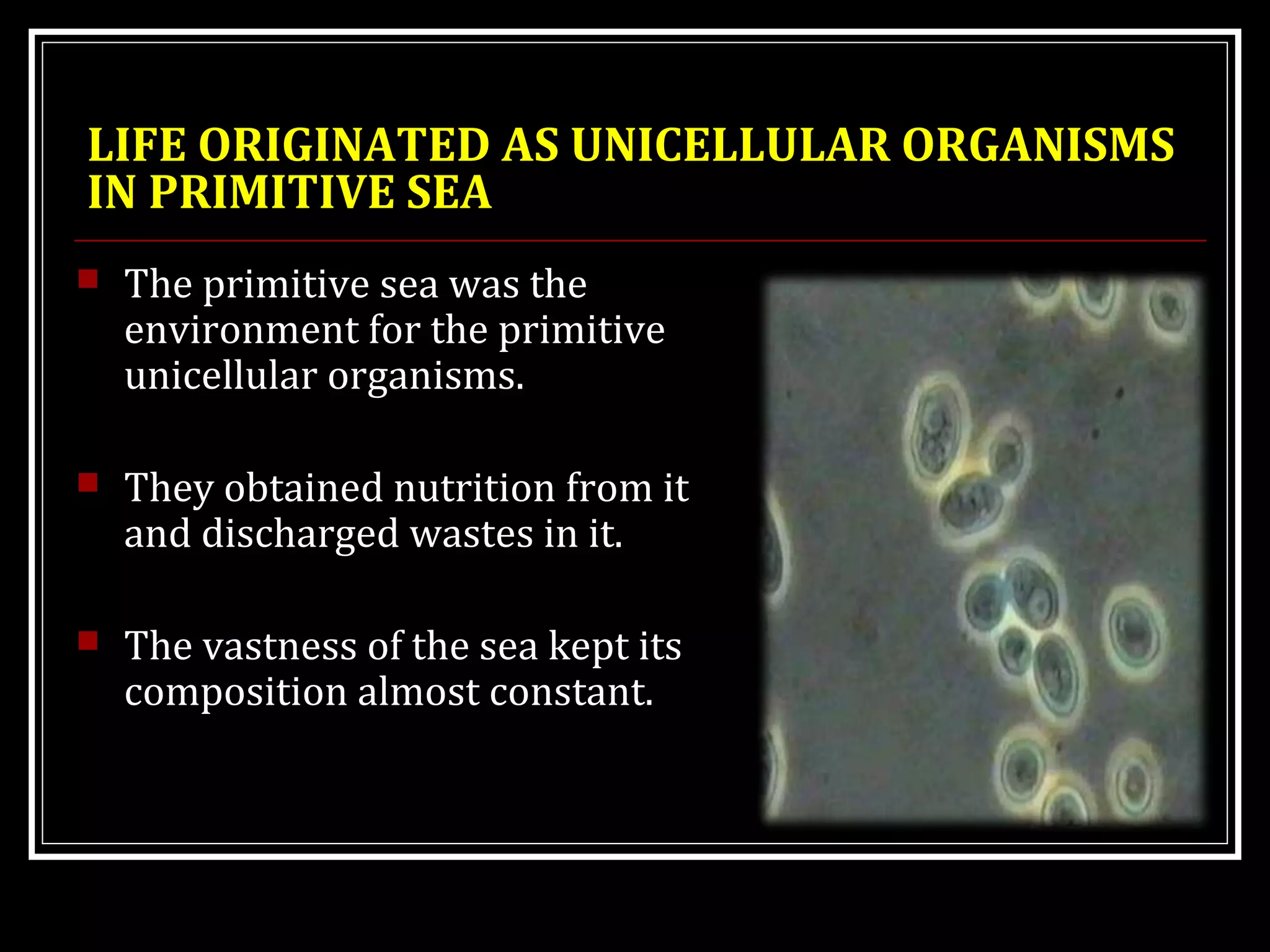 LIFE ORIGINATED AS UNICELLULAR ORGANISMS
IN PRIMITIVE SEA
 The primitive sea was the
environment for the primitive
unicellular organisms.
 They obtained nutrition from it
and discharged wastes in it.
 The vastness of the sea kept its
composition almost constant.
 