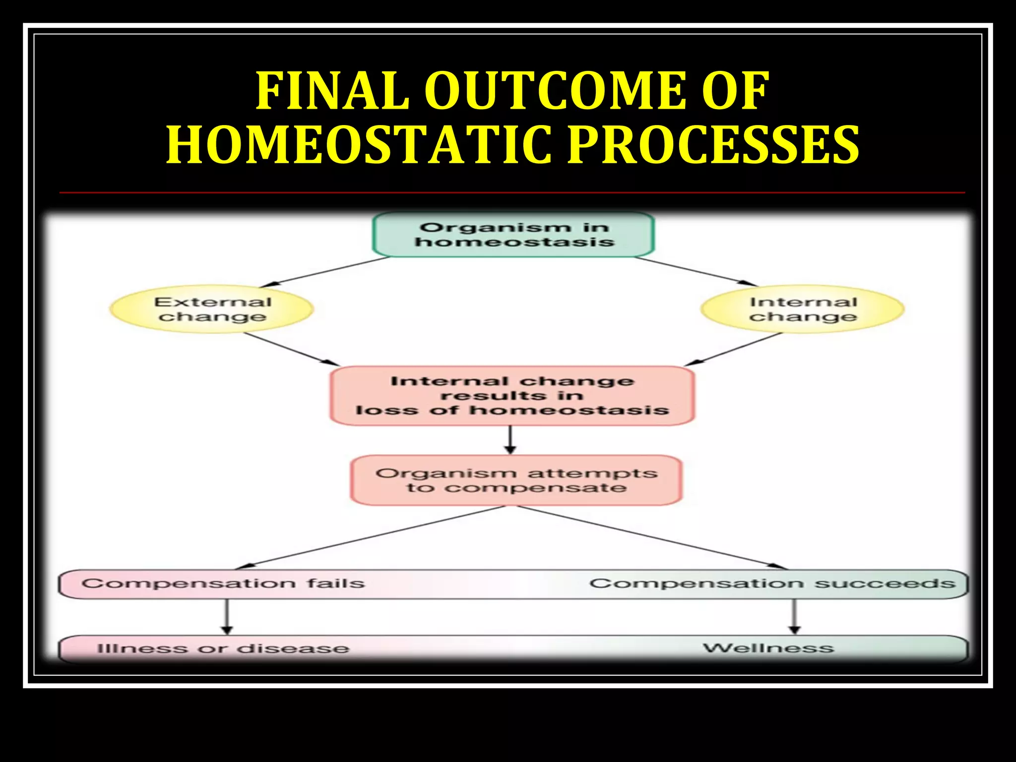 FINAL OUTCOME OF
HOMEOSTATIC PROCESSES
 
