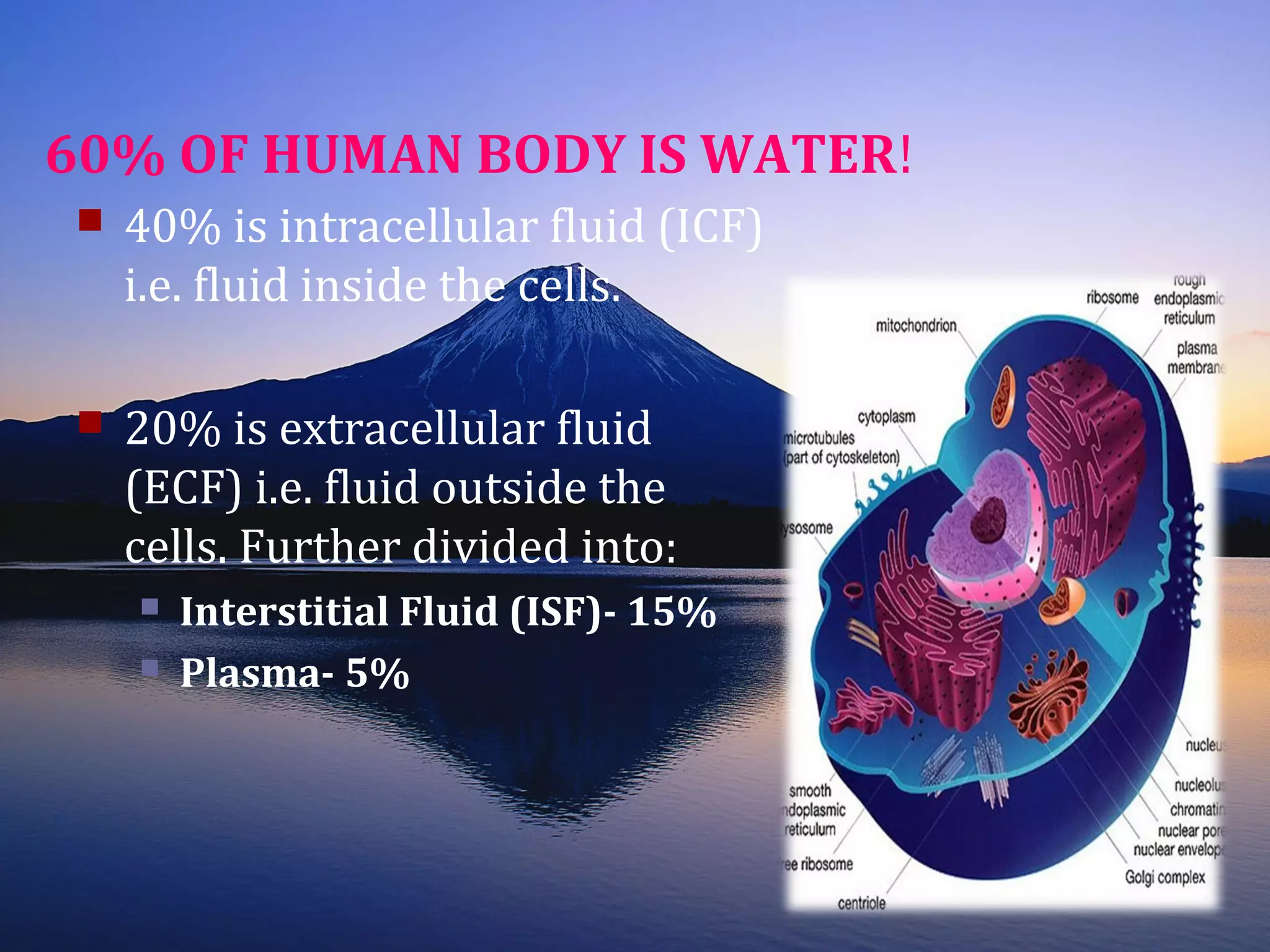 60% OF HUMAN BODY IS WATER!
 40% is intracellular fluid (ICF)
i.e. fluid inside the cells.
 20% is extracellular fluid
(ECF) i.e. fluid outside the
cells. Further divided into:
 Interstitial Fluid (ISF)- 15%
 Plasma- 5%
 