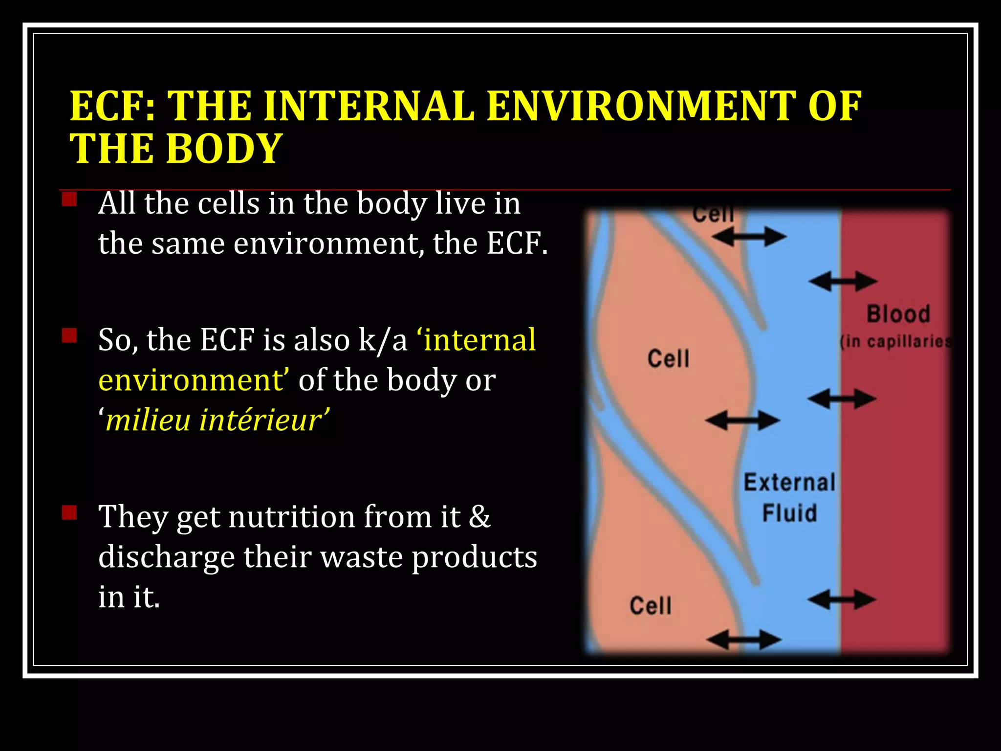 ECF: THE INTERNAL ENVIRONMENT OF
THE BODY
 All the cells in the body live in
the same environment, the ECF.
 So, the ECF is also k/a ‘internal
environment’ of the body or
‘milieu intérieur’
 They get nutrition from it &
discharge their waste products
in it.
 