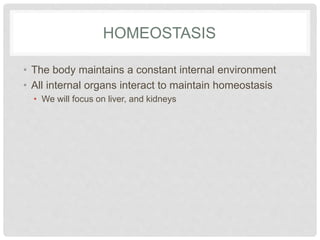 HOMEOSTASIS
• The body maintains a constant internal environment
• All internal organs interact to maintain homeostasis
• We will focus on liver, and kidneys
 