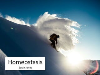 Homeostasis
Sarah Jones
http://whitelines.com
 