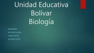 Unidad Educativa
Bolívar
Biología
NOMBRES:
KATERIN MEJIA
LENIN REYES
ALDAIR POZO
 