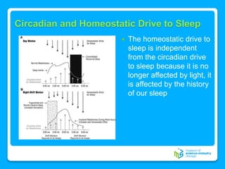 Homeostasis | PPT
