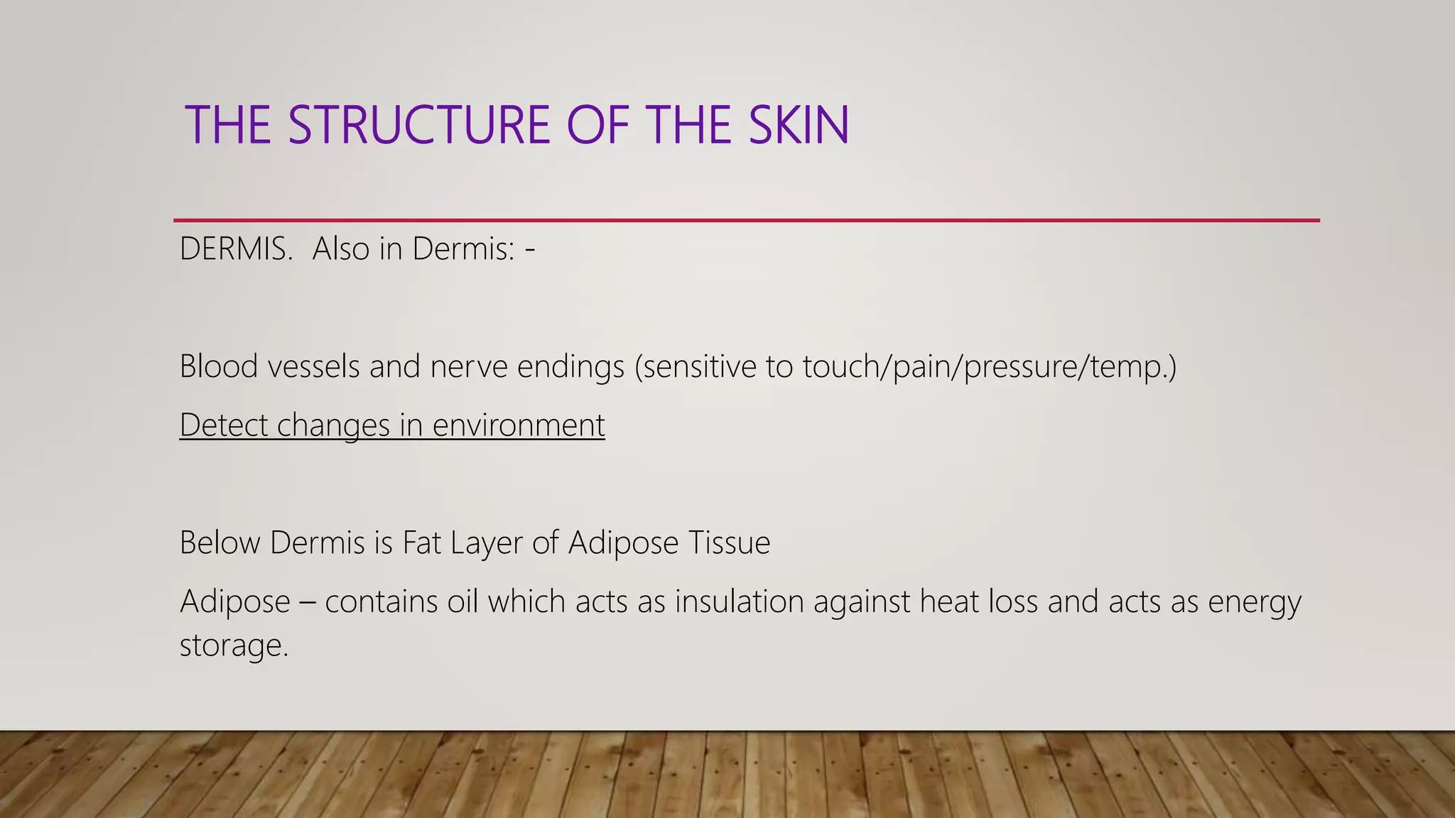 THE STRUCTURE OF THE SKIN
DERMIS. Also in Dermis: -
Blood vessels and nerve endings (sensitive to touch/pain/pressure/temp.)
Detect changes in environment
Below Dermis is Fat Layer of Adipose Tissue
Adipose – contains oil which acts as insulation against heat loss and acts as energy
storage.
 