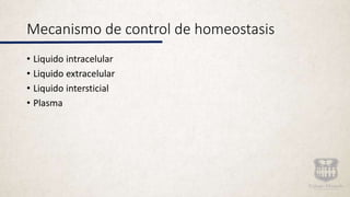 Mecanismo de control de homeostasis
• Liquido intracelular
• Liquido extracelular
• Liquido intersticial
• Plasma